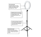 CAM SUPPLY ARO DE LUZ LED – MUEBLES | Reyes Tattoo Supply