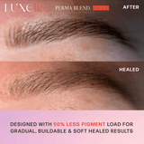 LITE BLONDE PIGMENTO PMU— PERMA BLEND LUXE LITE
