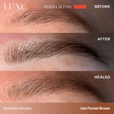 LITE FOREST BROWN PIGMENTO PMU— PERMA BLEND LUXE LITE