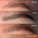 LITE FOREST BROWN PIGMENTO PMU— PERMA BLEND LUXE LITE