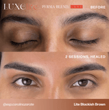 LITE BLACKISH BROWN PIGMENTO PMU— PERMA BLEND LUXE LITE