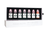 PERMABLEND CUERO CABELLUDO SCALP SET – TINTAS | Reyes Tattoo Supply