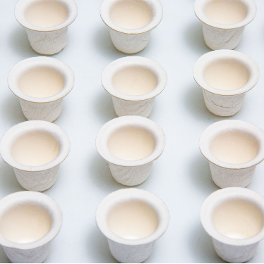 TATSOUL INK CAPS BIODEGRADABLES SMALL – ACCESORIOS | Reyes Tattoo Supply