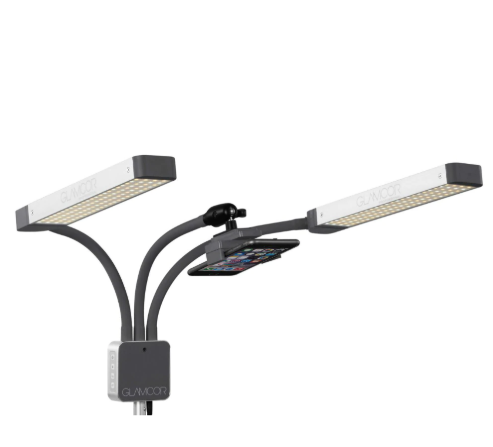 GLAMCOR GLAMCOR MULTIMEDIA EXTREME – ACCESORIOS | Reyes Tattoo Supply