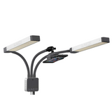 GLAMCOR GLAMCOR MULTIMEDIA EXTREME – ACCESORIOS | Reyes Tattoo Supply