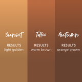 PERMABLEND SUNSET COLLECTION – TINTAS | Reyes Tattoo Supply