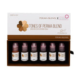 PERMABLEND FITZPATRICK SET 5-6 – TINTAS | Reyes Tattoo Supply