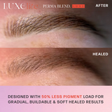 LITE BLONDE PIGMENTO PMU— PERMA BLEND LUXE LITE