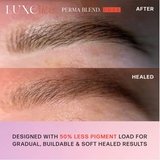 LITE ESPRESSO PIGMENTO PMU— PERMA BLEND LUXE LITE